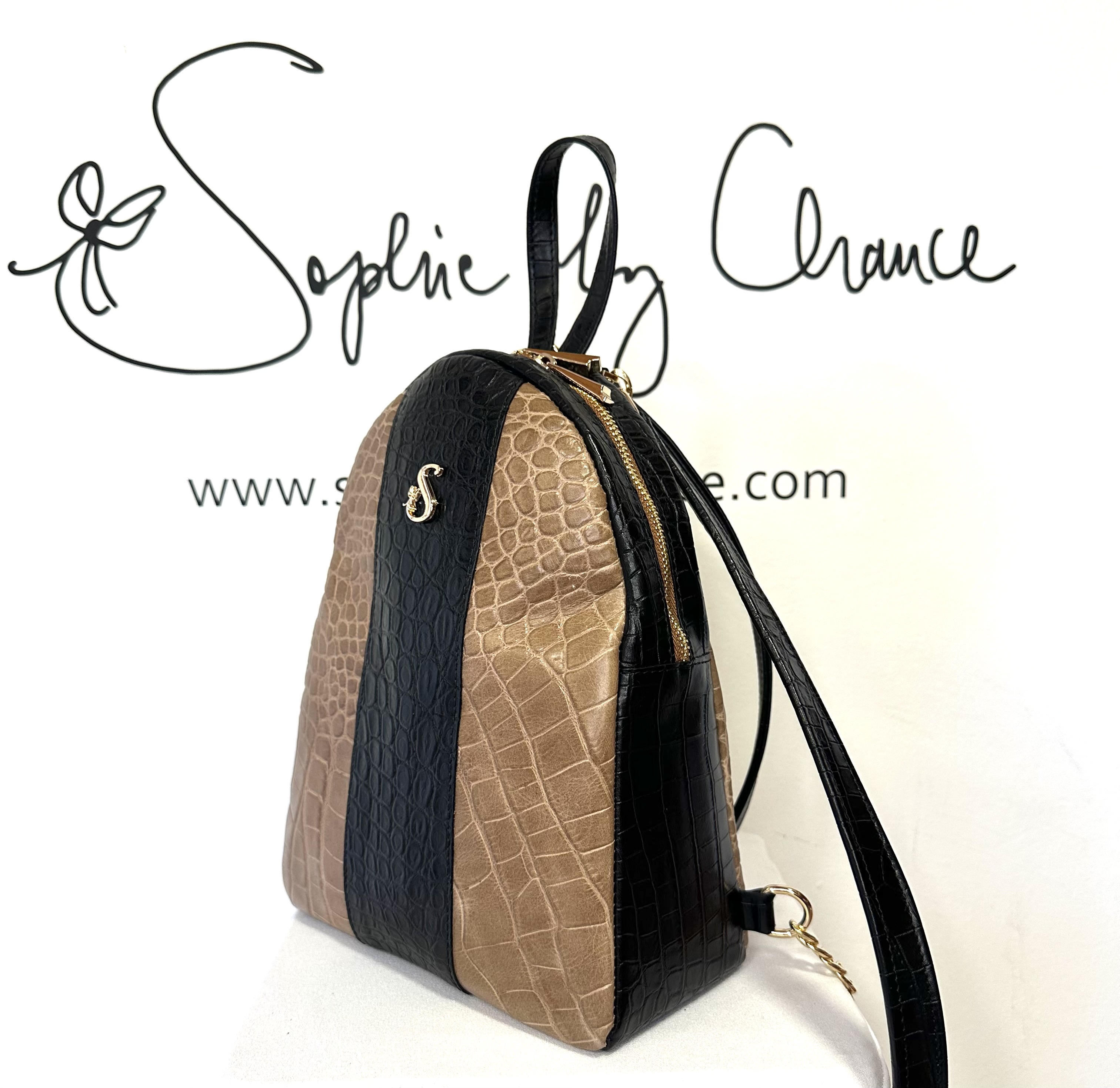 Back Pack